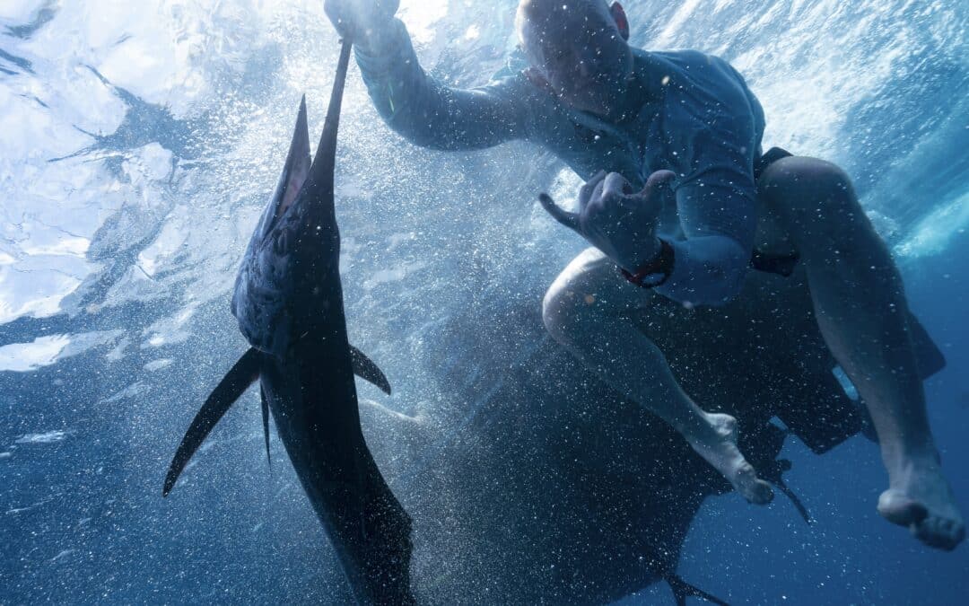 Best Ways To Catch Sailfish On A Charter In Costa Rica