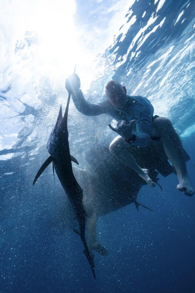 The Ultimate Guide To Sailfish Charters In Costa Rica