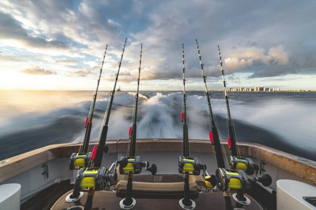 The Ultimate Guide To Sport Fishing Charters In Flamingo